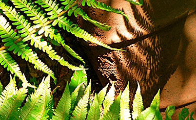 手机号验证码轰炸免费